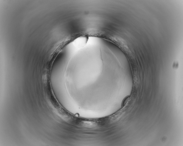 X0000093610167200710291213