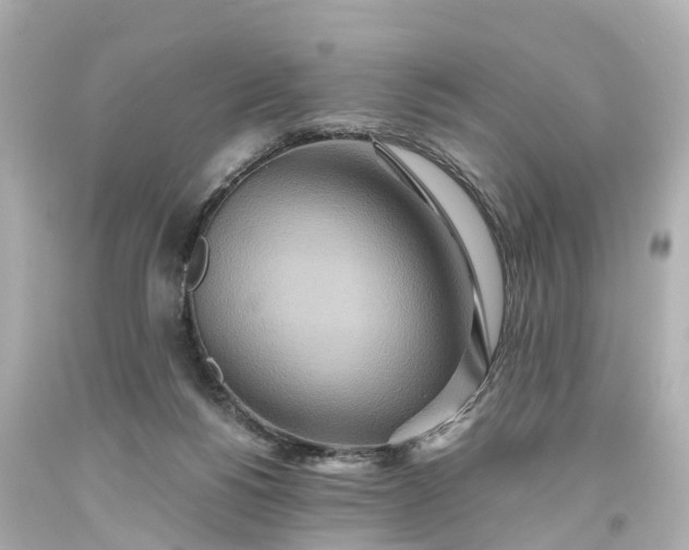 X0000093610168200710291213
