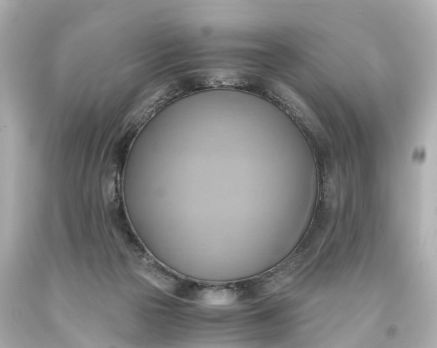 X0000093610169200710291213
