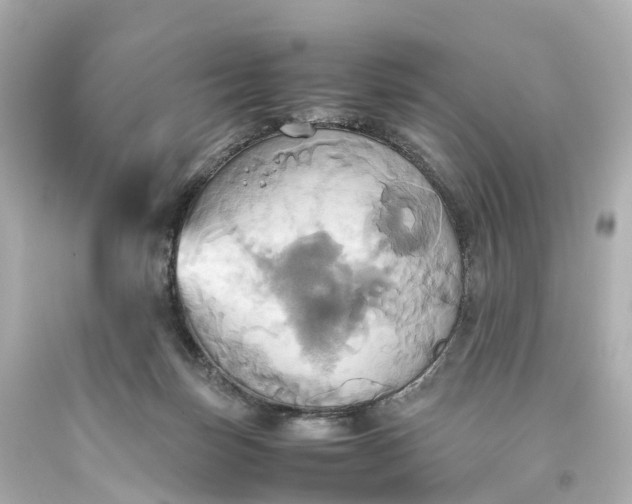 X0000093610171200710291213