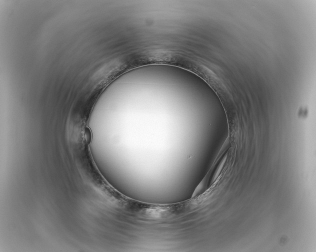 X0000093610172200710291213