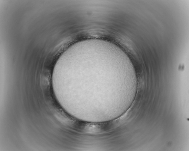 X0000093610174200710291213