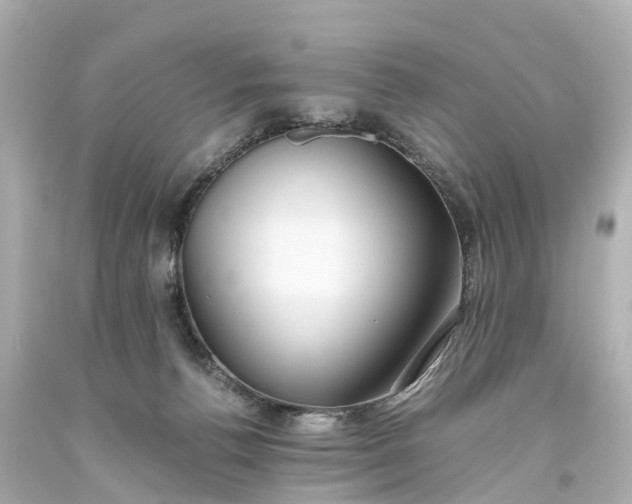 X0000093610176200710291213