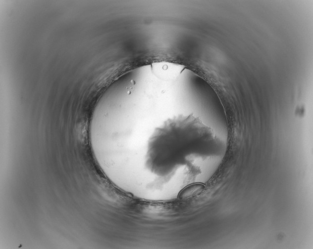 X0000093610177200710291213