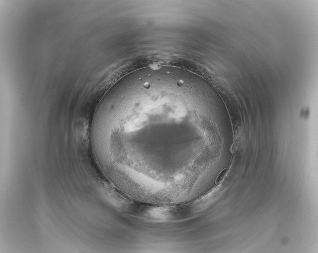 X0000093610178200710291213