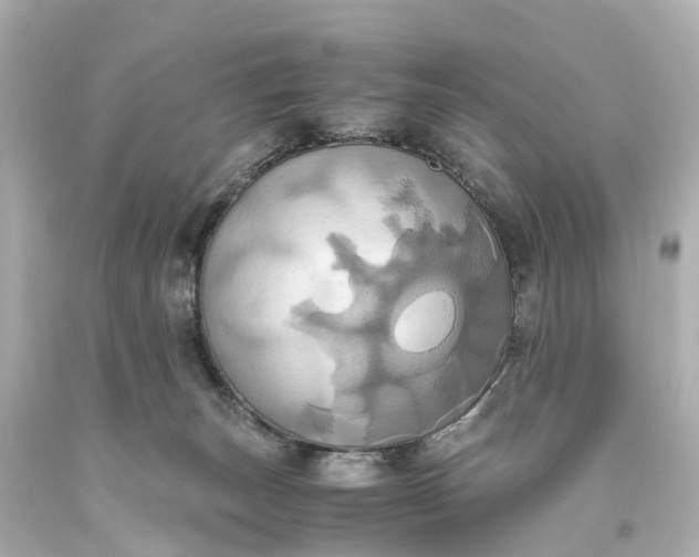 X0000093610179200710291213