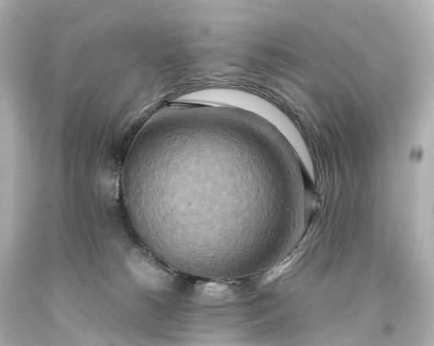 X0000093610180200710291213