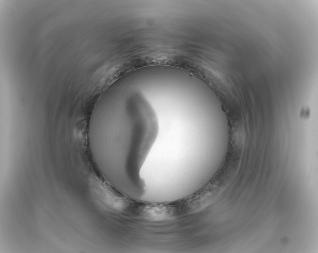 X0000093610181200710291213