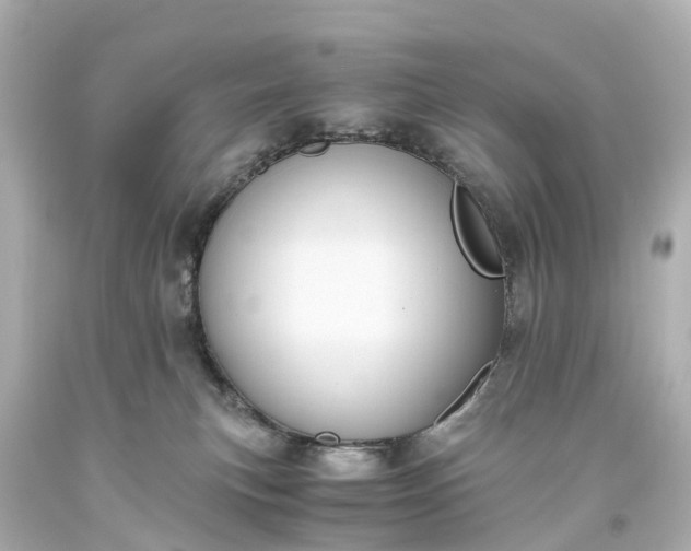 X0000093610183200710291213