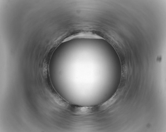X0000093610184200710291213