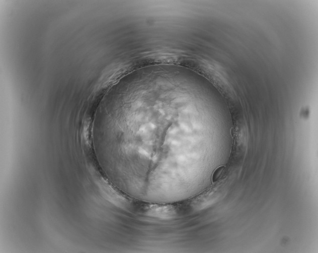 X0000093610185200710291213