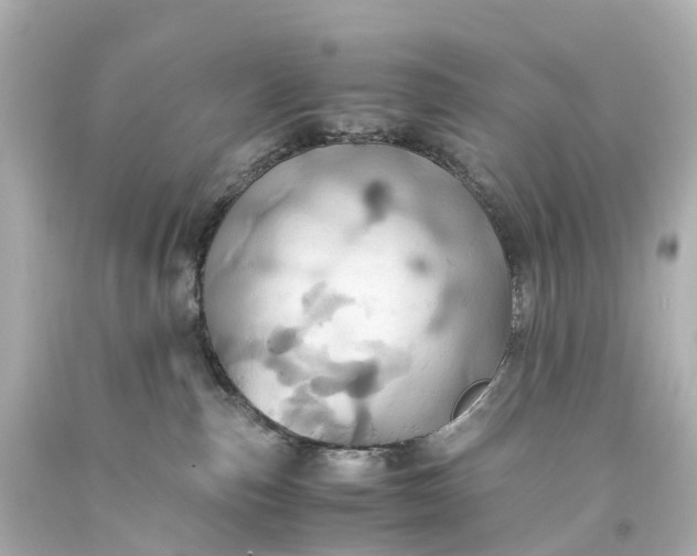 X0000093610187200710291213