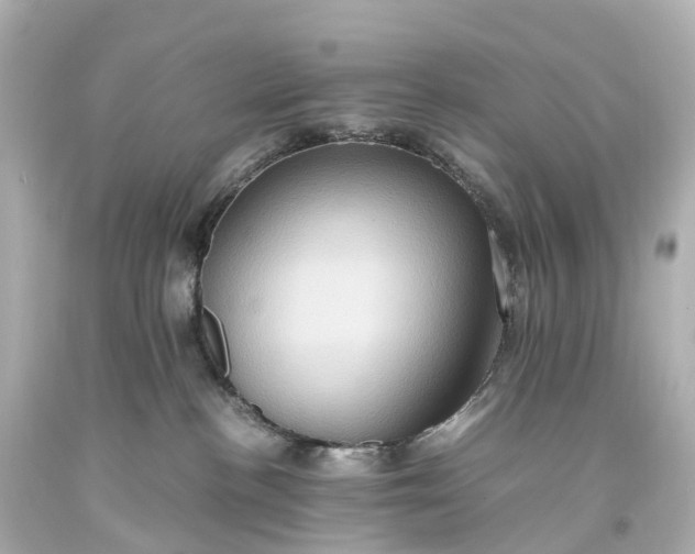 X0000093610188200710291213