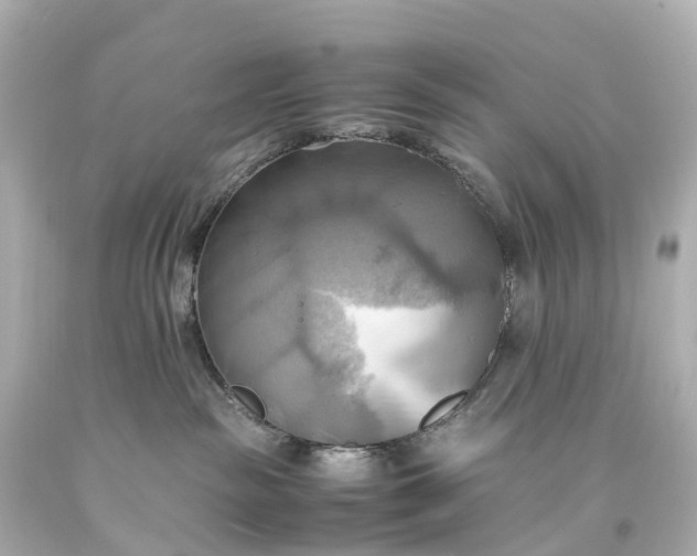 X0000093610189200710291213