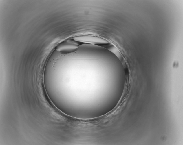 X0000093610193200710291212