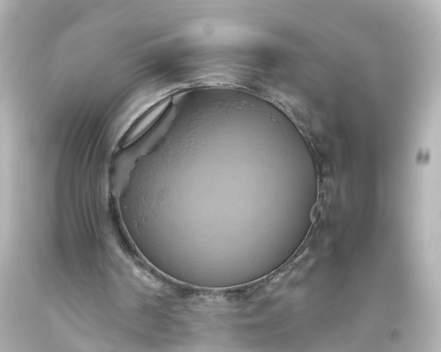 X0000093610194200710291212