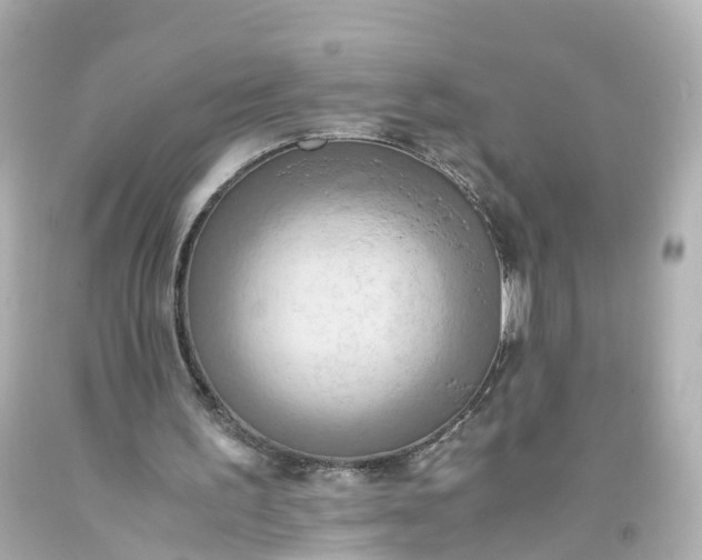 X0000093610195200710291212