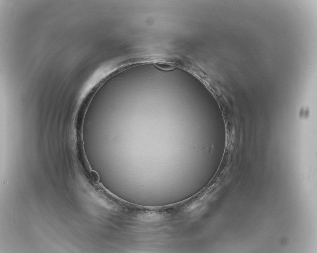 X0000093610198200710291212