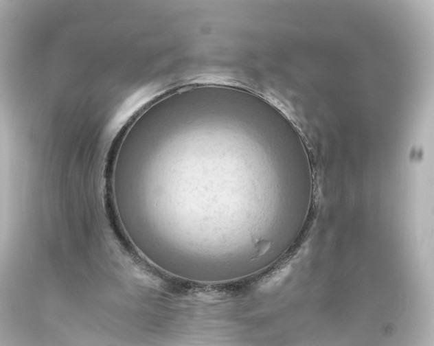 X0000093610199200710291212