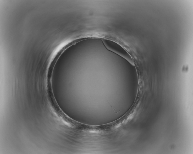 X0000093610200200710291212
