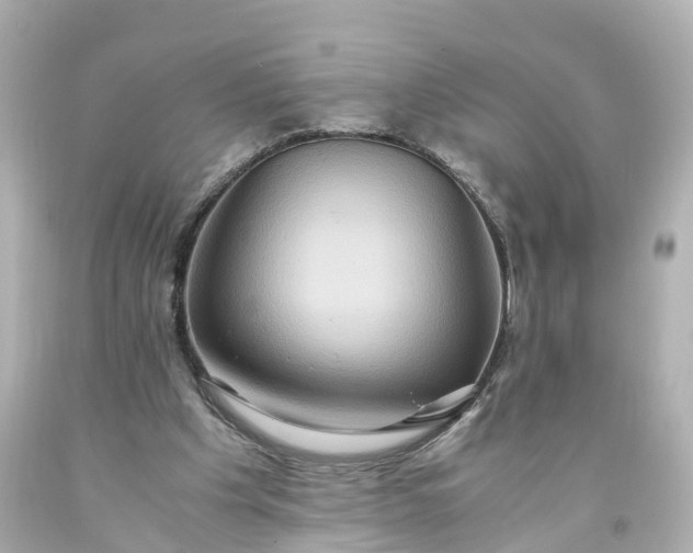 X0000093610201200710291212