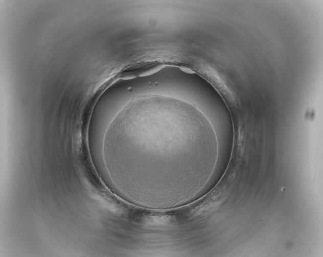 X0000093610202200710291212
