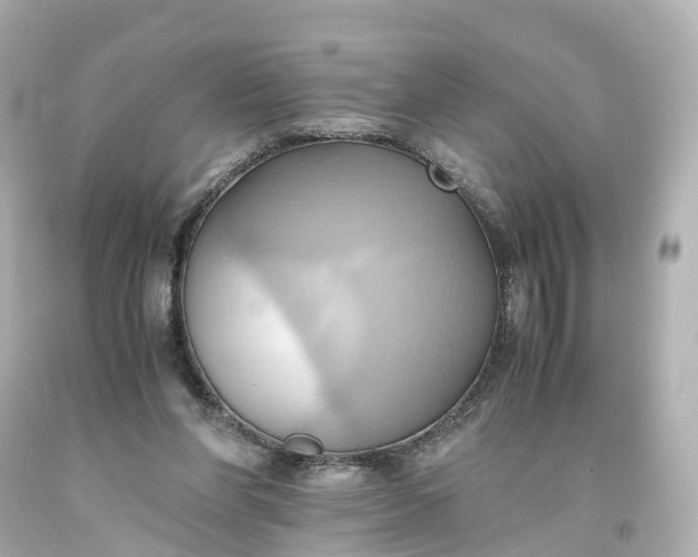 X0000093610206200710291212
