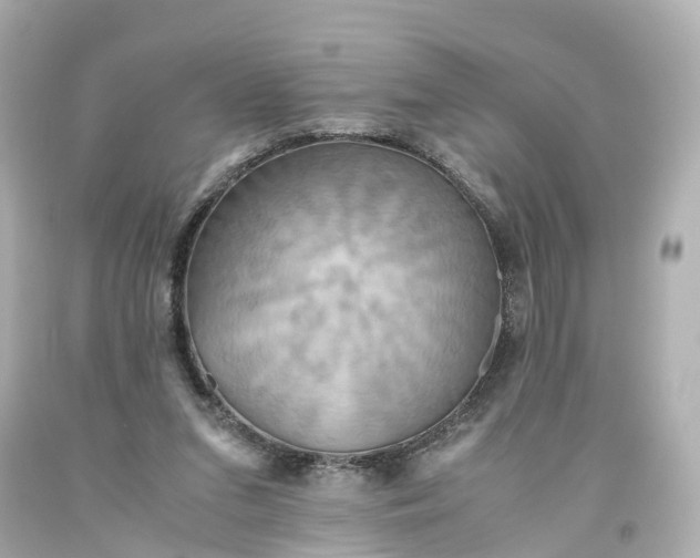 X0000093610207200710291212