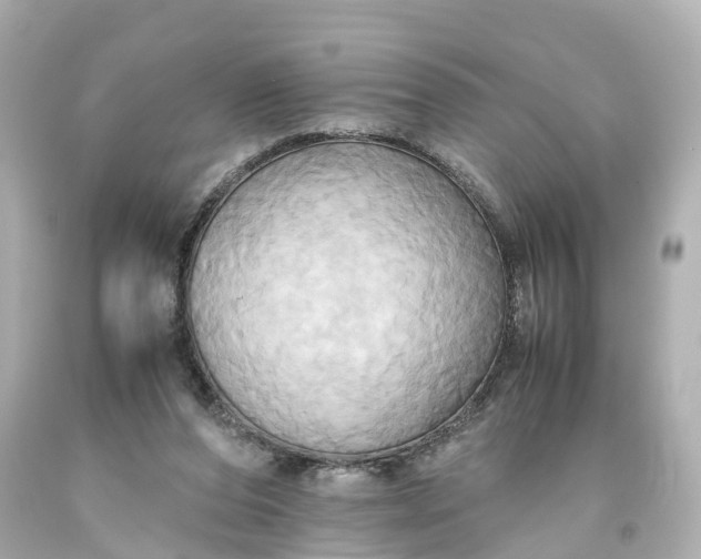 X0000093610208200710291212
