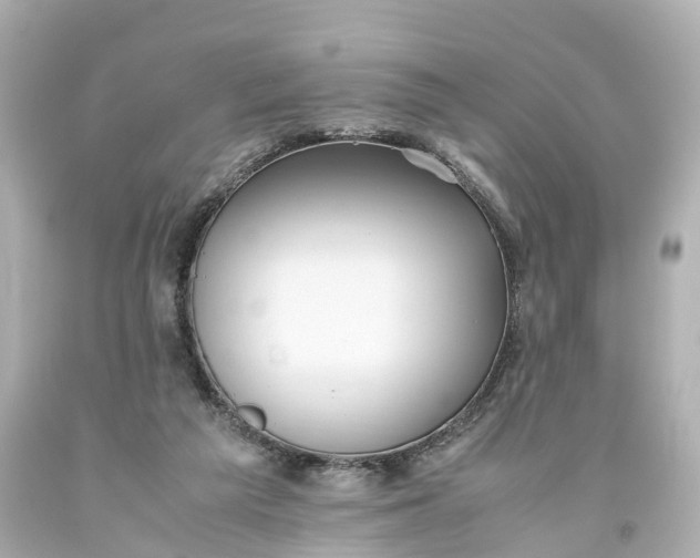 X0000093610209200710291212