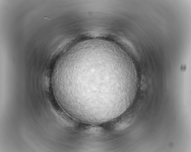 X0000093610210200710291212