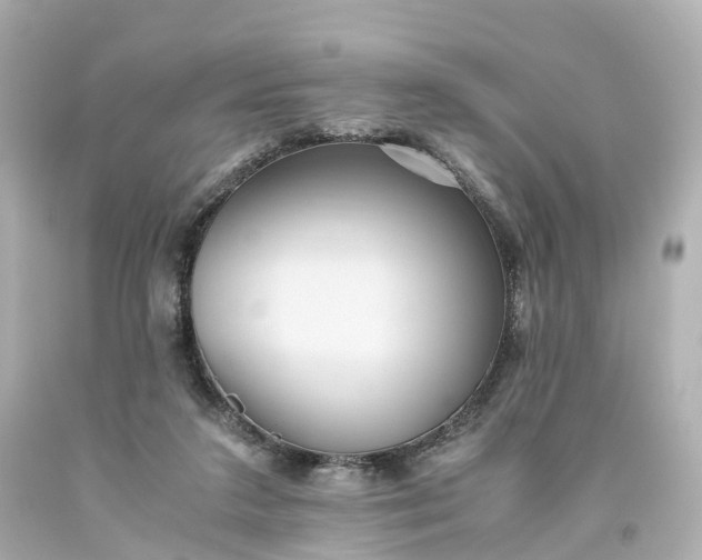 X0000093610211200710291212