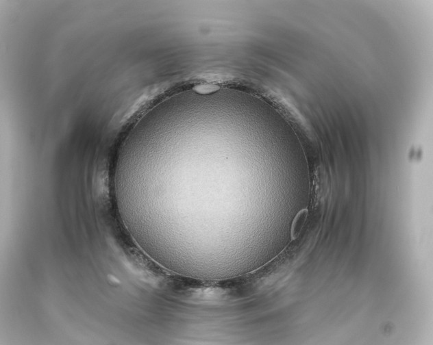 X0000093610212200710291212