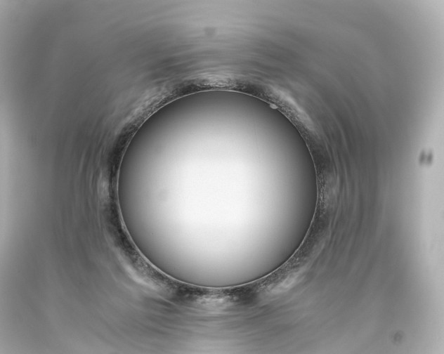 X0000093610213200710291212