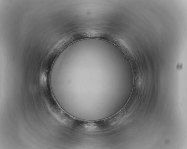 X0000093610214200710291212