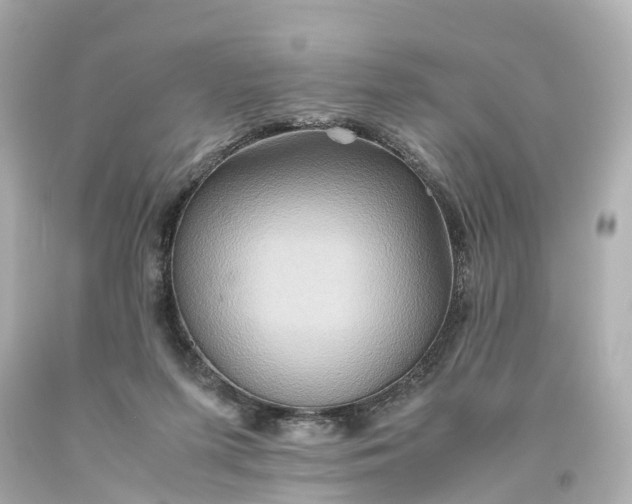 X0000093610215200710291212