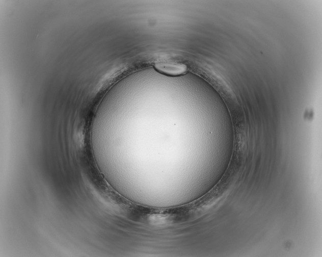 X0000093610216200710291212