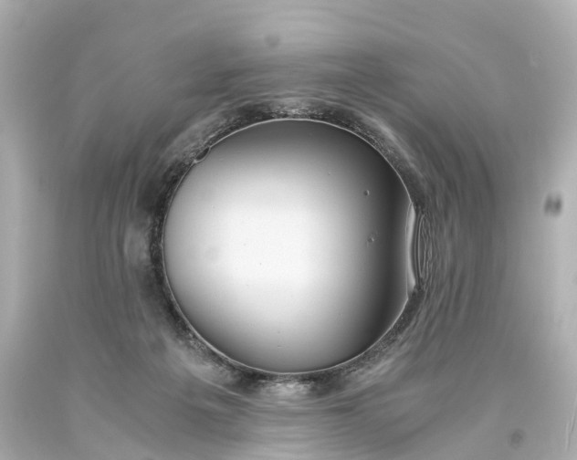 X0000093610217200710291212
