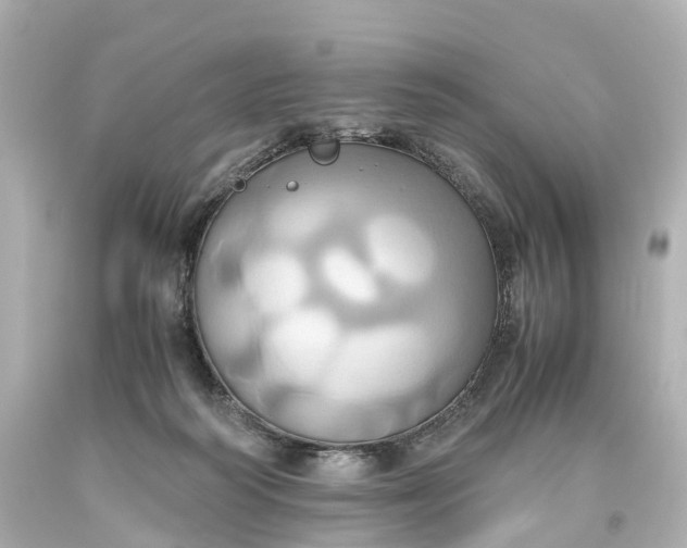 X0000093610218200710291212