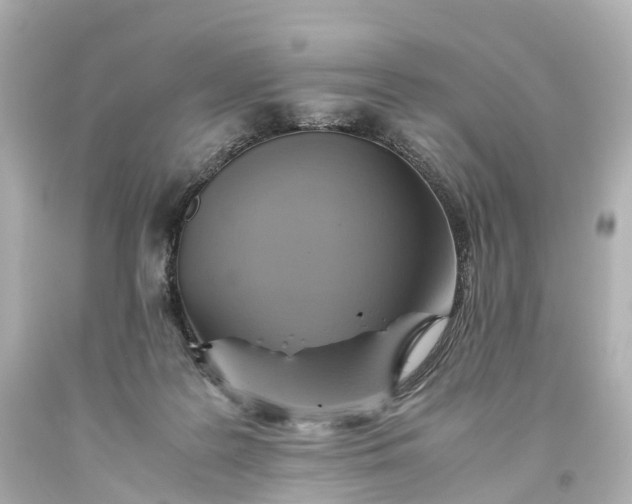 X0000093610219200710291212