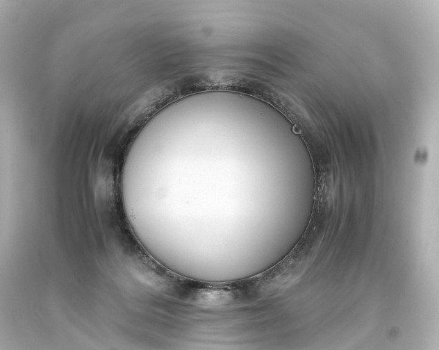 X0000093610220200710291212