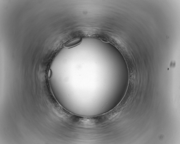 X0000093610221200710291212