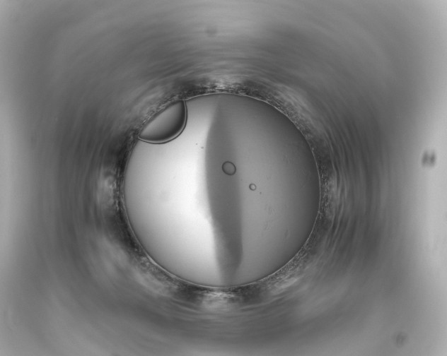 X0000093610222200710291212