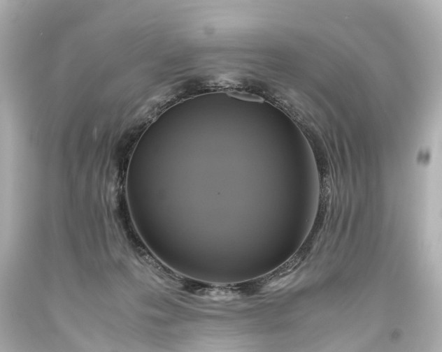 X0000093610223200710291212