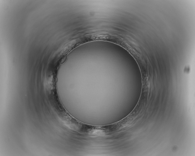 X0000093610224200710291212