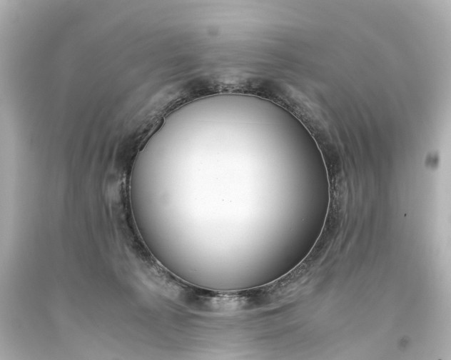 X0000093610225200710291212
