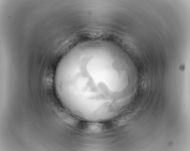 X0000093610226200710291212