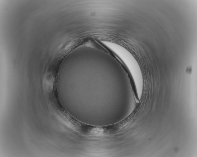 X0000093610227200710291212