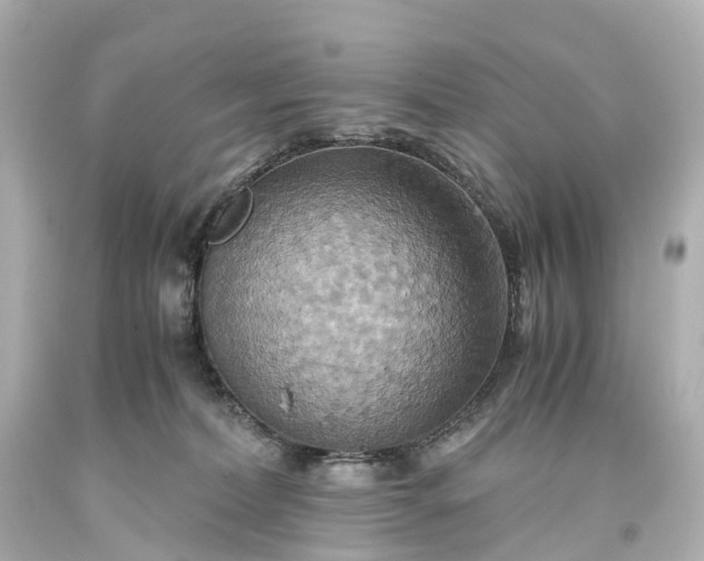 X0000093610228200710291212