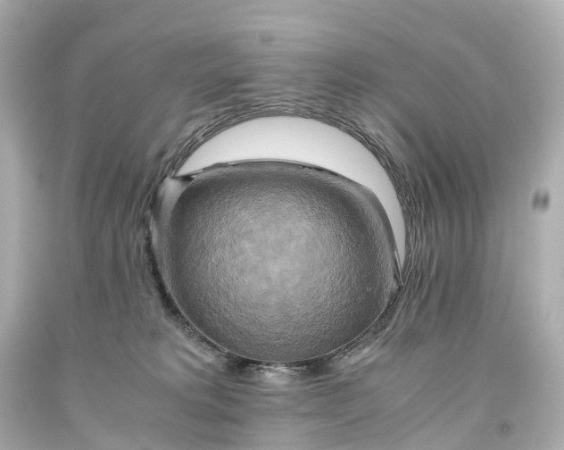 X0000093610229200710291212
